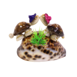 CONCHIGLIA CON TARTARUGHE INNAMORATE 