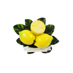 RESINA MAGNETE SET LIMONI CON FIORI